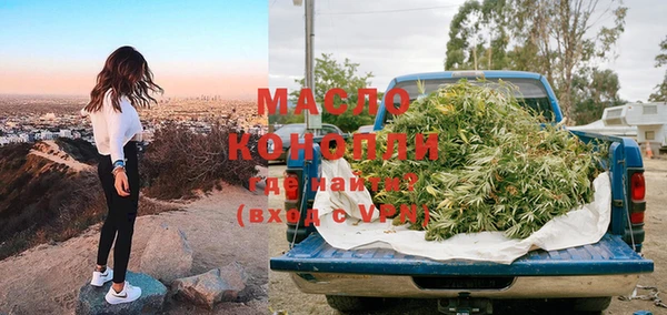 крисы Абаза