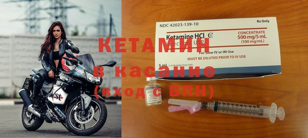 крисы Абаза