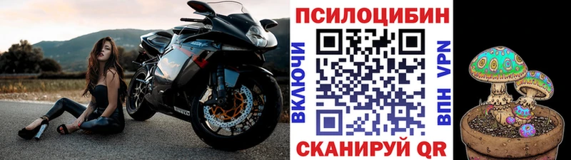Галлюциногенные грибы ЛСД  купить наркотики сайты  МЕГА вход  Щёкино 